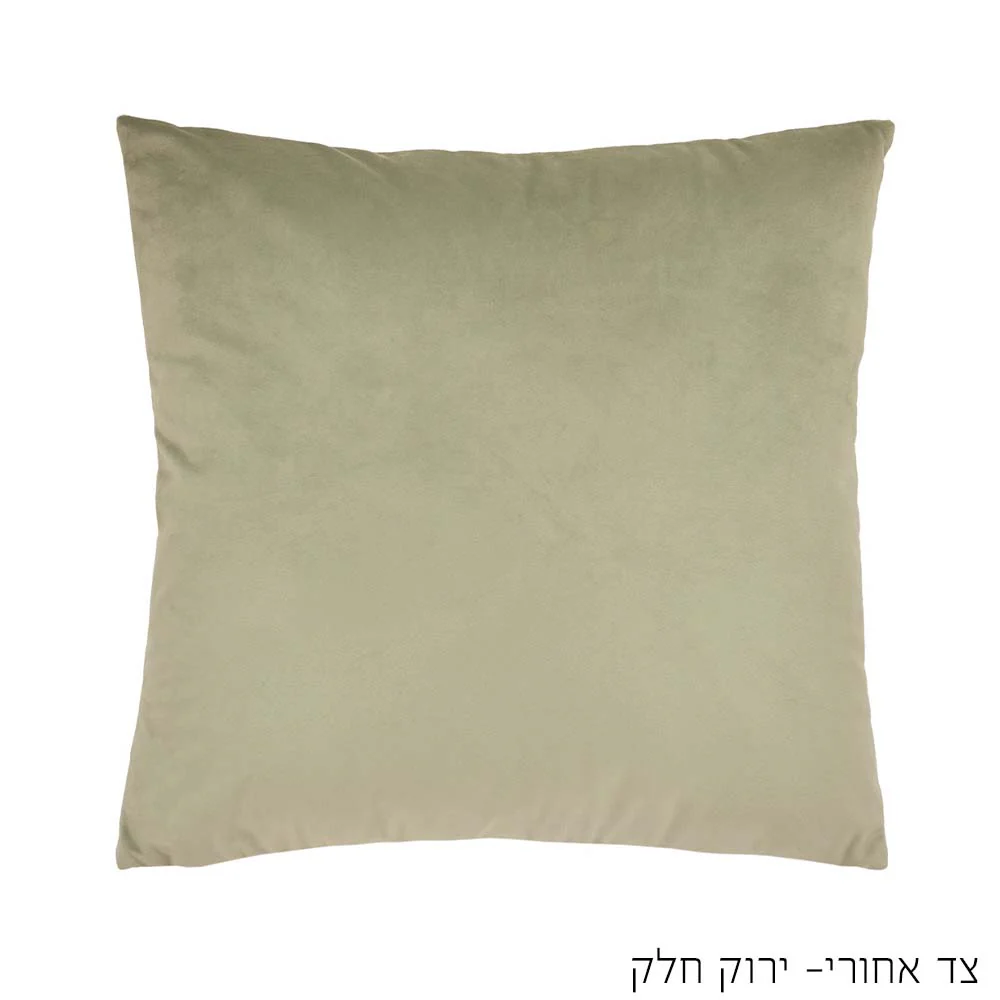 תמונת מוצר 3