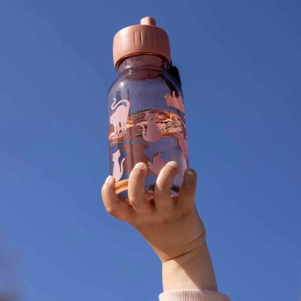 תמונת מוצר 4